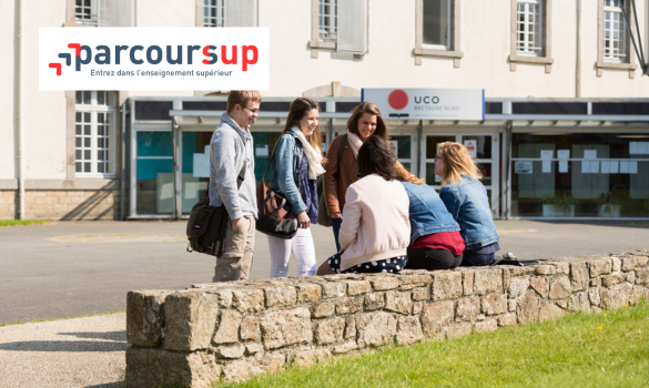 Parcoursup : la phase complémentaire